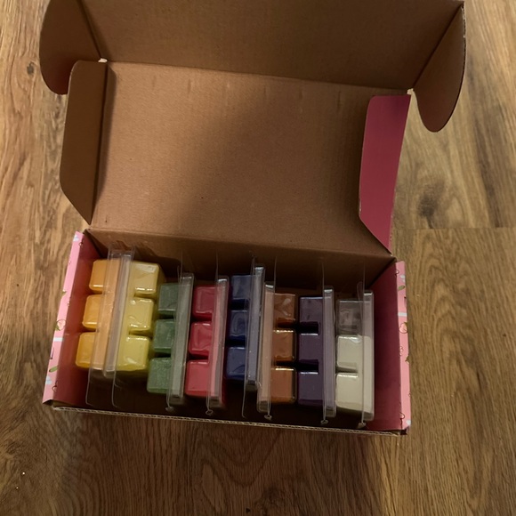 COPY - Scentsy - Picture 2 of 4